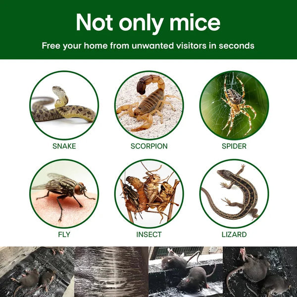 ✨LAST DAY SALE 50% OFF✨Household Mon-woven Strong Trap Sticky Mouse Blanket