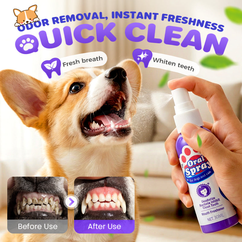Buy 2 get 1 free🎁No-Brush Pet Dental Care Spray