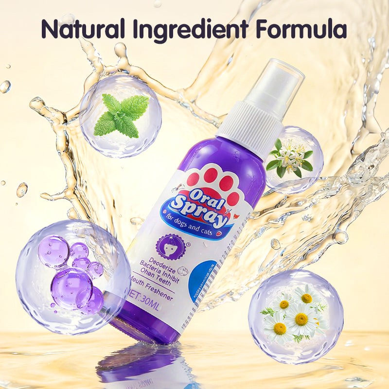 Buy 2 get 1 free🎁No-Brush Pet Dental Care Spray