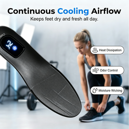 🔥Last Day 50% Off⏰Classic Shock-Absorbing Comfort Insoles