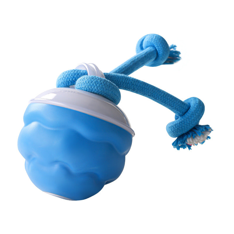 🎄Christmas Sale 50% OFF🔥Interactive Electronic Pet Soothing Toy Ball