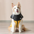 Waterproof Windproof Winter Dog Coat
