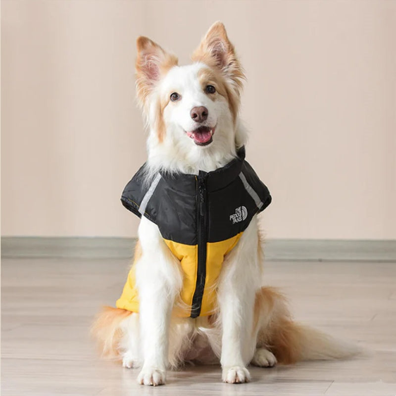 Waterproof Windproof Winter Dog Coat