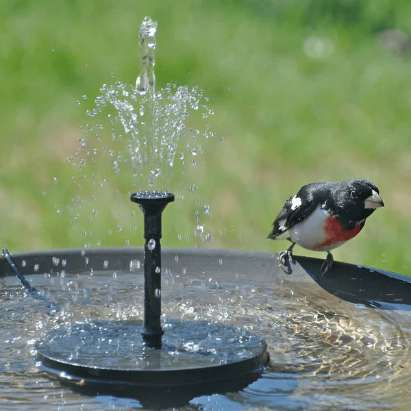 ⏳Time-Limited Special⏰Compact Solar Bird Fountain Pump – Keep Your Garden Alive! 🐦️